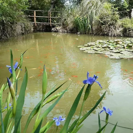 Se053 - Senigallia, Meraviglioso Trilocale Con Piscina * San Gaudenzio