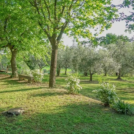 Se053 - Senigallia, Meraviglioso Trilocale Con Piscina *