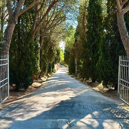 Se053 - Senigallia, Meraviglioso Trilocale Con Piscina * San Gaudenzio
